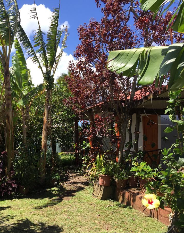 Cabanas Hinariru Nui อังกาโรอา ภายนอก รูปภาพ